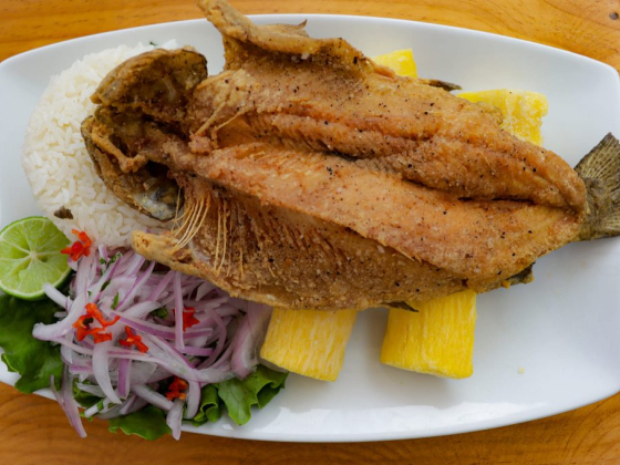 Sabor & Sazón