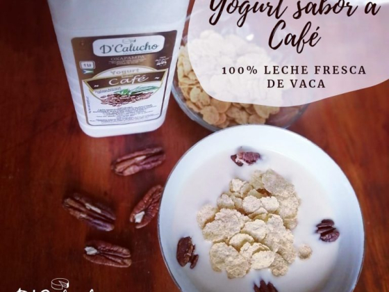 Lácteos D'Calucho