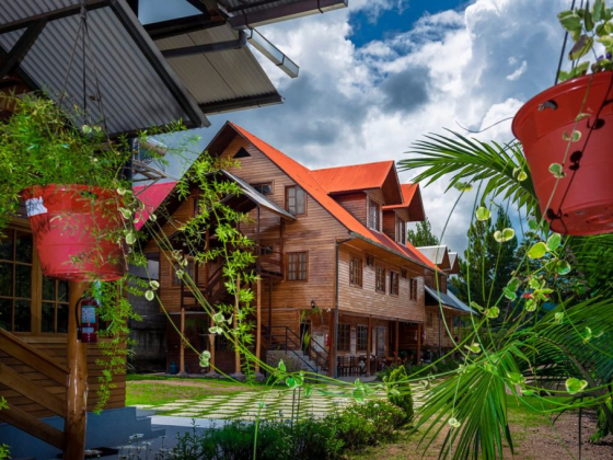 Hotel Charlie House