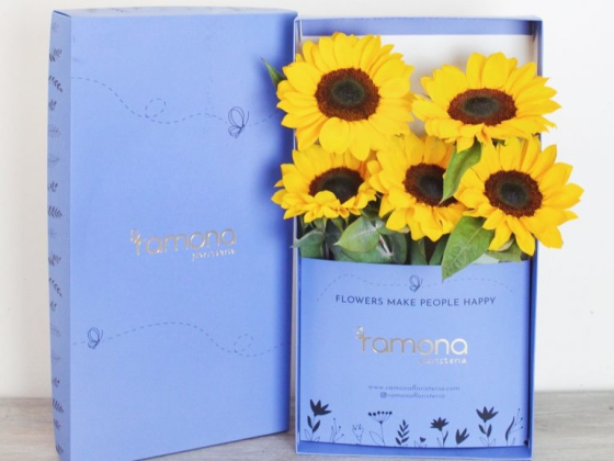 Ramona Floristería