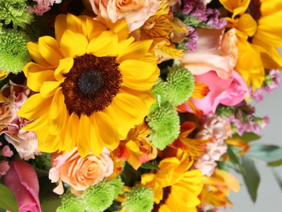 Ramona Floristería