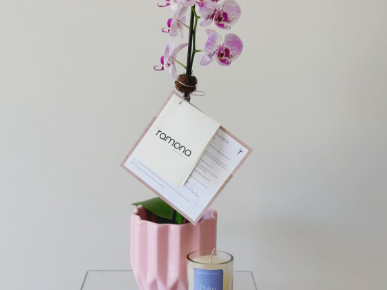 Ramona Floristería