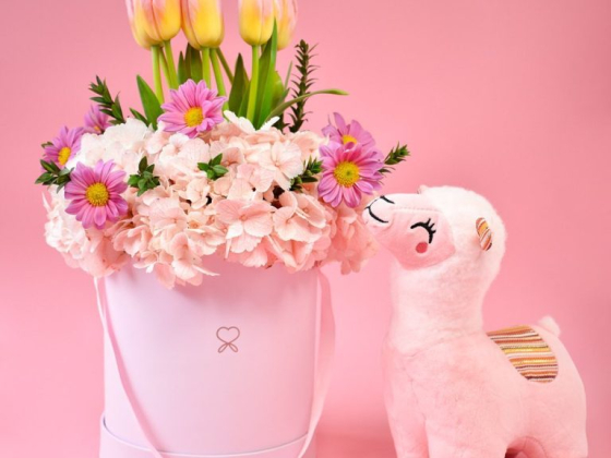 Florería Bloom