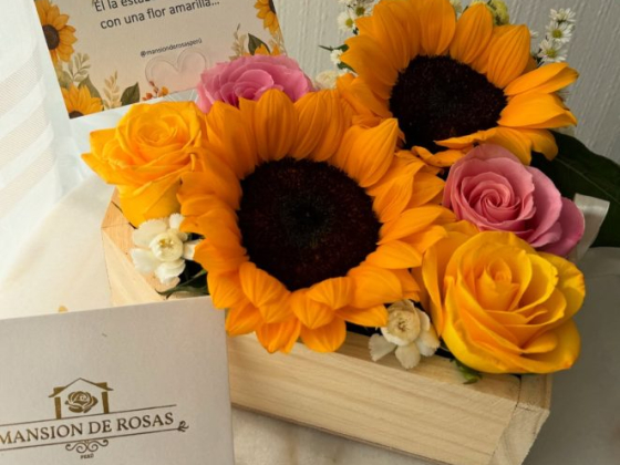 Mansión de Rosas