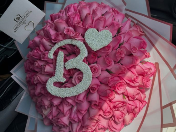 Mansión de Rosas