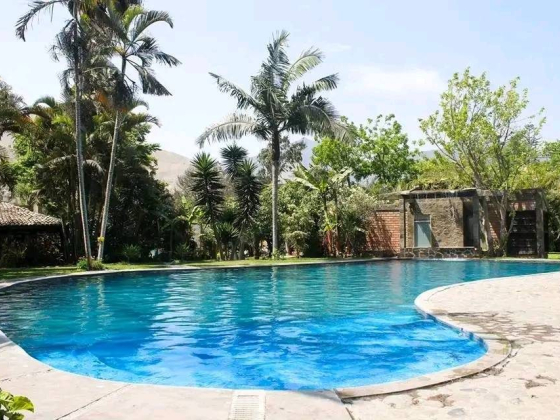 Casa del Gringo