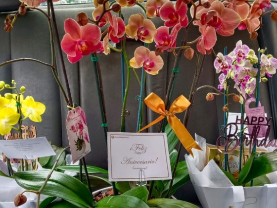 Orquiflor