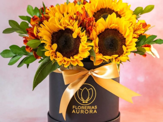 Florerías Aurora