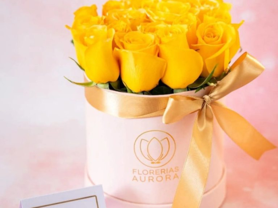 Florerías Aurora