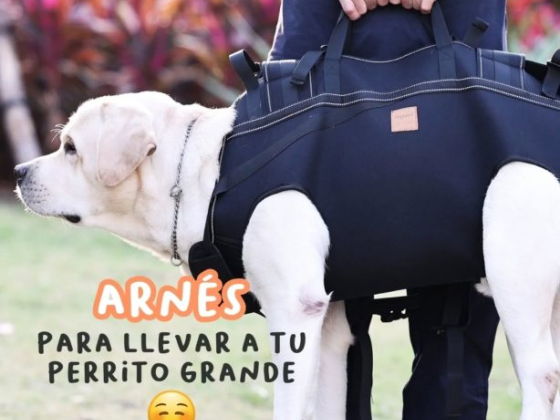Cochikis