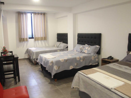 Palacio del Sur