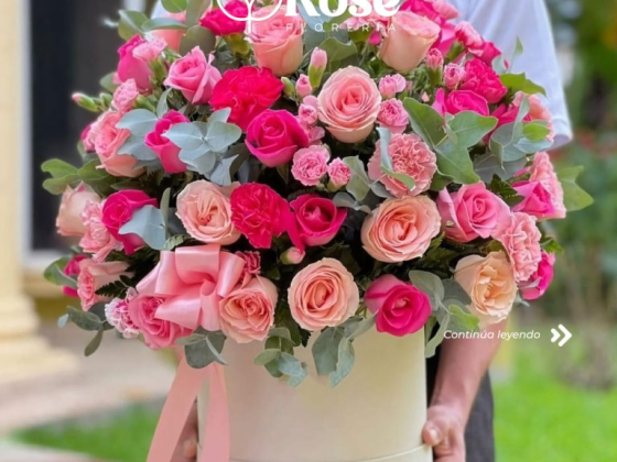 Florería Green Rose