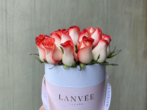 Maison Lanvēe