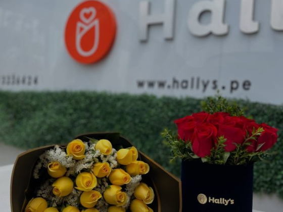 Hally's