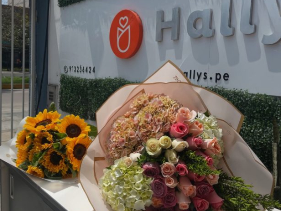 Hally's