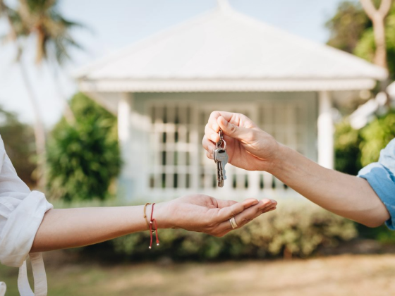Bienes Raíces e Inmobiliaria
