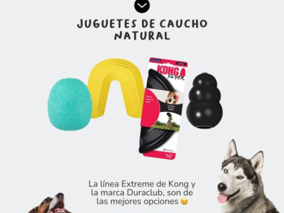 Cochikis