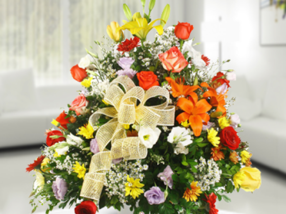 Mundo Floral