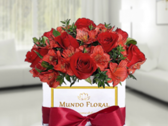 Mundo Floral
