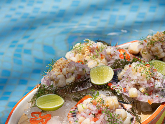 Aranwa Paracas Resort & Spa