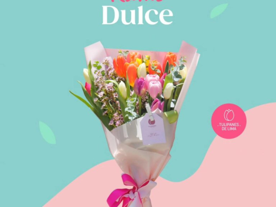 Tulipanes de Lima