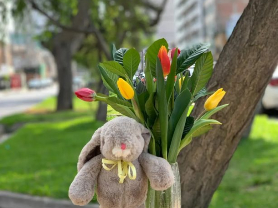 Tulipanes de Lima