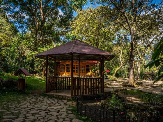 Carolina Egg Gasthaus
